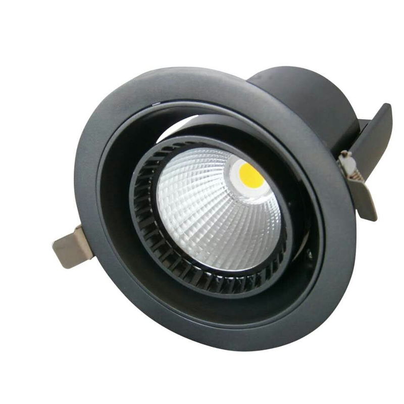Rotated downlight 30W spot light up and down