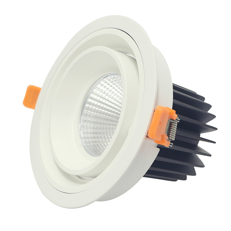 Round and square shape LED ceilling lamp COB 20W 30W recessed down light led ceilling mount light