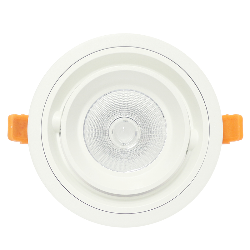 Round and square shape LED ceilling lamp COB 20W 30W recessed down light led ceilling mount light